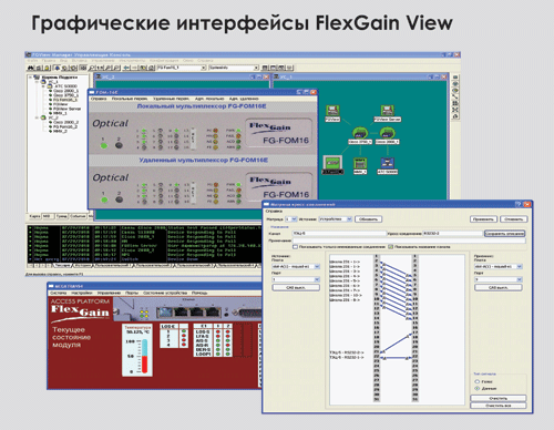   FlexGain View