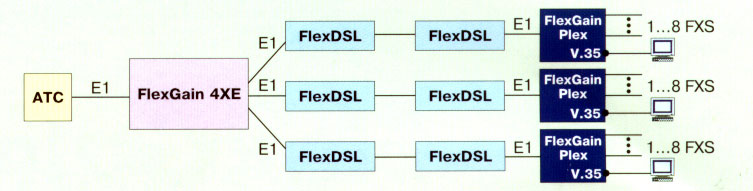           FlexGain Plex,  -  FlexGain 4XE  DSL- 